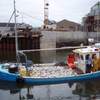 n60 loaded with 80 cran in harbour